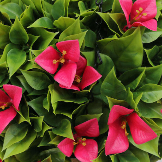 Decorative Greenery Hanging Basket Rossima Bougainvillea