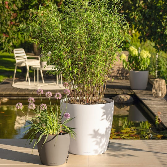 Lechuza Classico Self-Watering Flower Pot Nutmeg 50x50cm