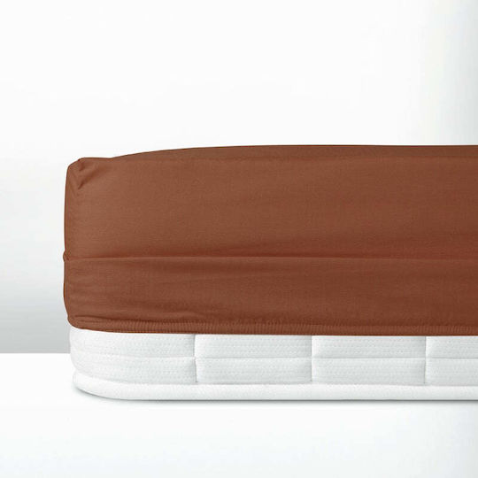 Cannon Bettlaken für Einzelbett mit Gummiband 100x200+30cm. Classic Clementine