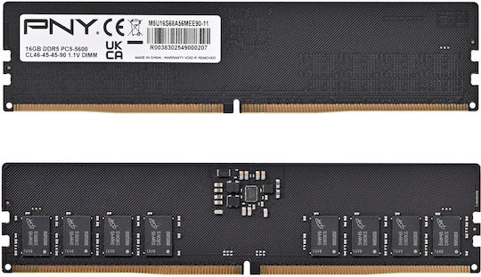 PNY Performance DDR5 with Module 1x16GB and Speed 5600 for Desktop