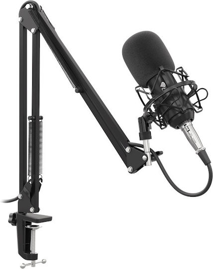 Genesis Radium 300 Πυκνωτικό Μικρόφωνο XLR Shock Mounted για Studio