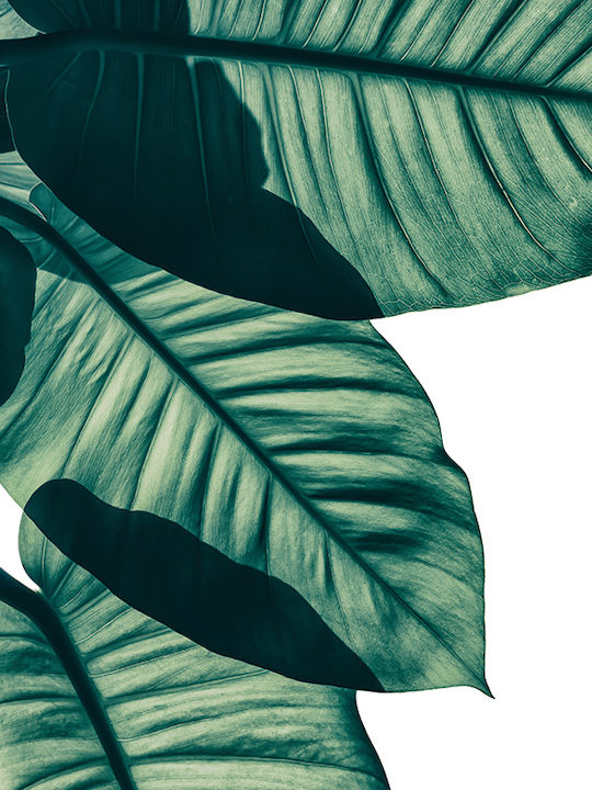 Poster Tropical Palm Leaf Pst25155 21cm X 30cm Λευκό Κάδρο Pvc