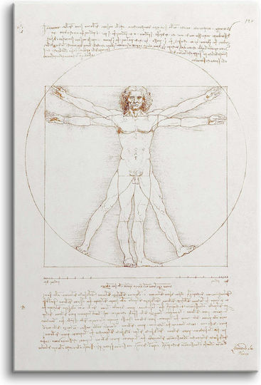 Canvas Painting Reproduction Leonardo Da Vinci Vitruvian Man 60x90