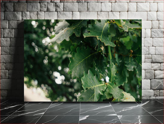 Πίνακας Close-up Green Oak Leaves Κοντινό Πλάνο Πράσινων Φύλλων Βελανιδιάς 120x80