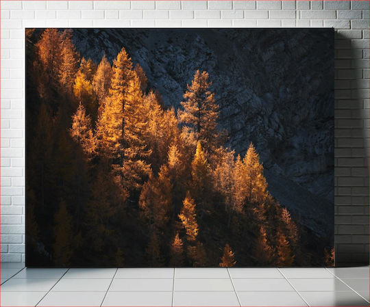 Golden Sunlit Trees Χρυσά Ηλιόλουστα Δέντρα σε Καμβά