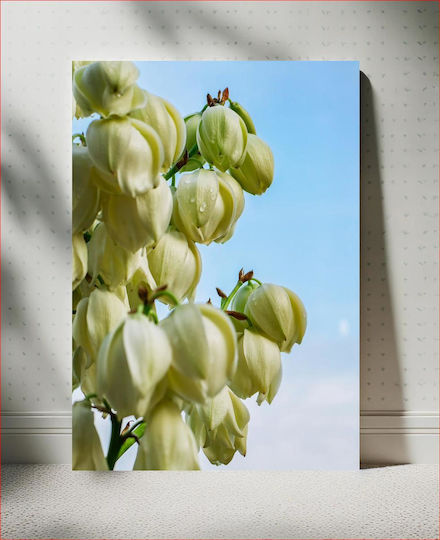 Πίνακας Blooming Yucca Flowers Ανθισμένα Λουλούδια Yucca 80x120 Πίνακας Blooming Yucca Flowers Ανθισμένα Λουλούδια Yucca 80x120