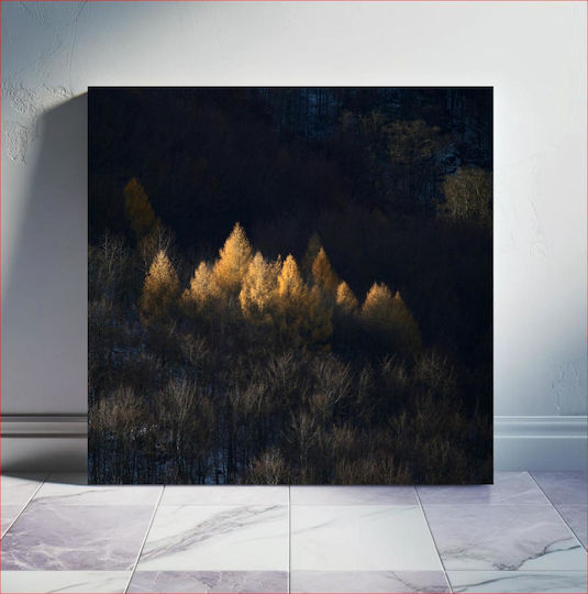 Golden Trees In A Forest Χρυσά Δέντρα Σε Δάσος 1 σε Καμβά