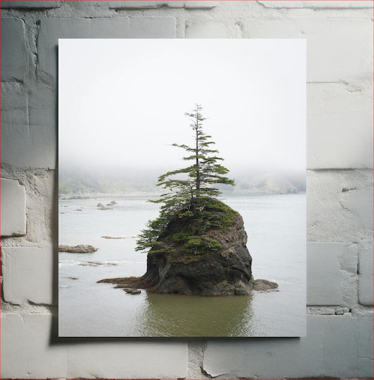 Lonely Tree On Rocky Island Lonely Tree Στο Rocky Island σε Καμβά