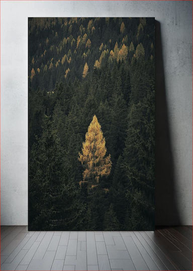 Golden Tree In Dense Forest Χρυσό Δέντρο Σε Πυκνό Δάσος 1 σε Καμβά