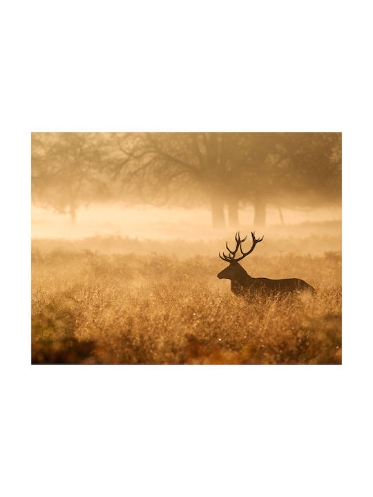 Poster Deer Pst25127 60cm X 90cm Μαύρο Ξύλινο Κάδρο