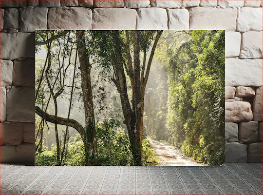 Forest Path In Morning Light Δασικό Μονοπάτι Στο Πρωινό Φως 1