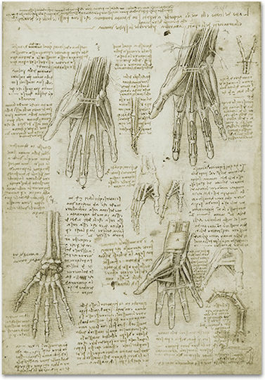 Καμβάς Leonardo Da Vinci Οστά Οι Μύες Οι Τένοντες Του Χεριού 46χ66