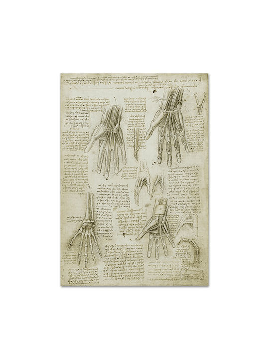 Καμβάς Leonardo Da Vinci Οστά Οι Μύες Οι Τένοντες Του Χεριού 89χ127