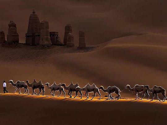 Плакат Камили В Пустинята Pst25135 50см X 70см Рамка Тъмно Натурално Дърво Кафяво