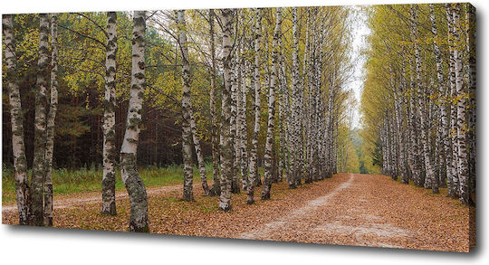Tablou Decorativ Pânză Potrivit Pentru Orice Spațiu Bulevardul Plopilor 125x50 Cm
