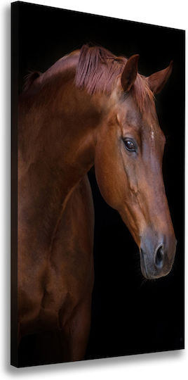 Panou Pânză Living Decorare Zilnică Portret Cal 60x120 Cm