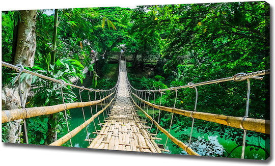 Wall Frame Canvas The Most Tropical Forest Areas 120x60 Cm