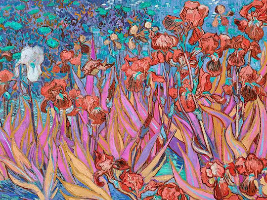Poster Van Gogh Irises Art110 50cm X 70cm Μαύρη Ξύλινη Κορνίζα