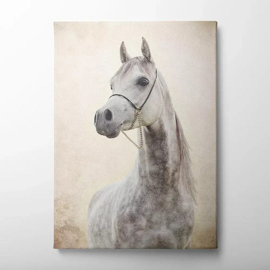 Πίνακας Καμβά Λευκό Άλογο Knv322 45cm X 65cm