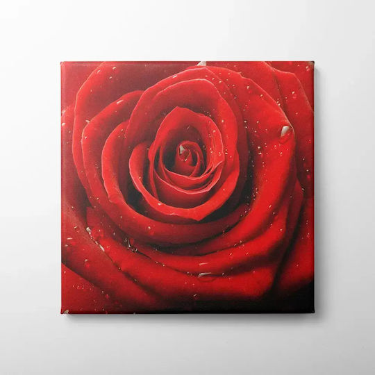 Πίνακας Καμβά Κόκκινο Τριαντάφυλλο Knv147 95cm X 95cm