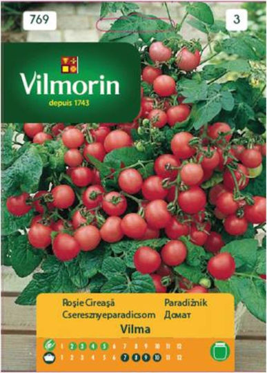 Vilmorin Samen Tomateς Tomate