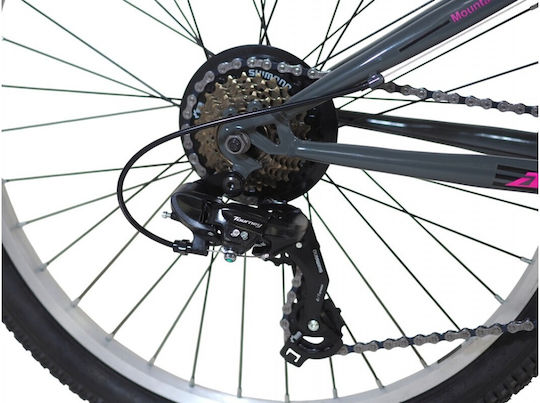 Alpina 24" Παιδικό Mountain Bike Γκρι