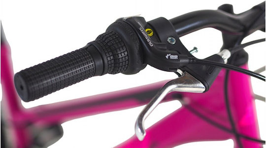 Alpina 24" Kids Mountain Bike Purple