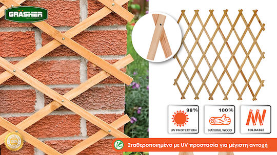Trellis Pliabil De Grădină Din Lemn Cu Design În Grilă Romb Maro 180x90cm