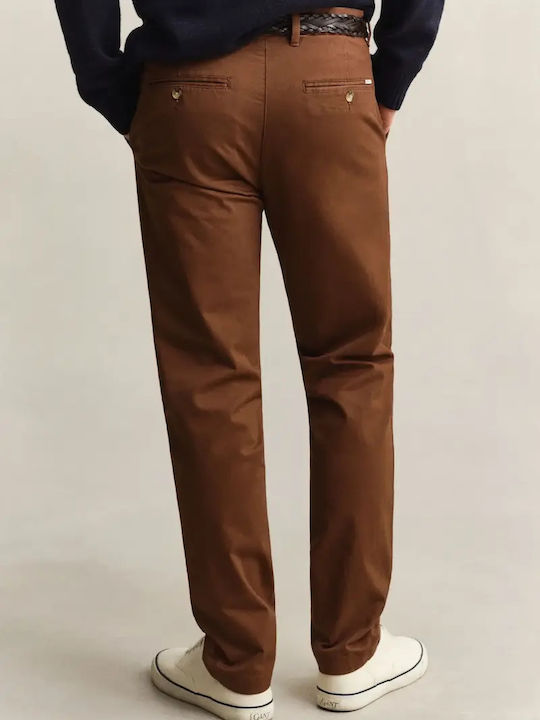 Chino Trousers in Slim Fit Brown