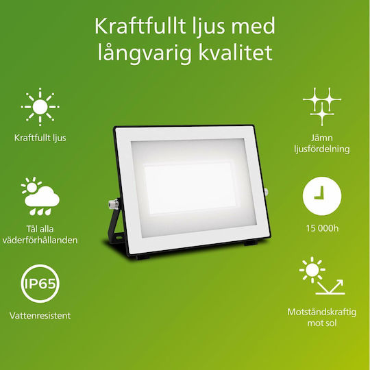 Philips Στεγανός Προβολέας LED 50W Ψυχρό Λευκό 5000K IP65
