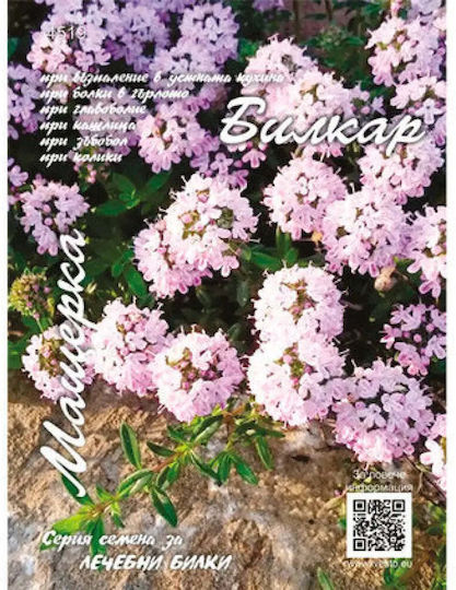 Thyme Seeds