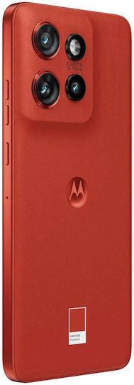 Motorola Edge 60 Neo 5G (8/256GB) PANTONE Poinciana