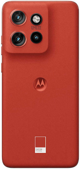 Motorola Edge 60 Neo 5G (8/256GB) PANTONE Poinciana