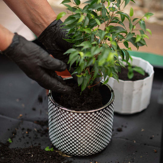 Bradas Tq-p2/070 Transplanting Mat 66x66cm