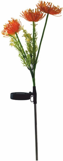 Lightex Solar Light