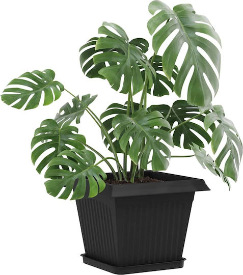 vidaXL Plastic Black Pot Plate 21x21cm Set of 6 42020363