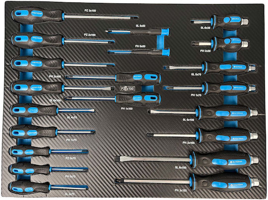 Erem Set 21 Precision Screwdrivers