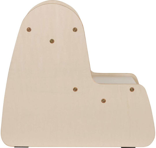 Bed Ladder