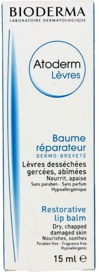 Bioderma Atoderm Lippenbalsam Avocado 15g 15ml