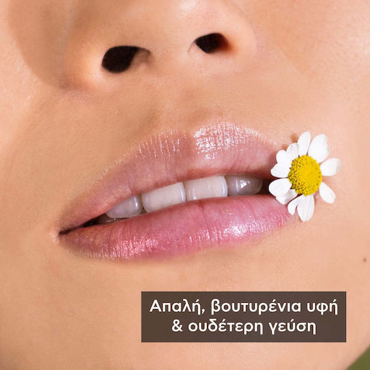 Apivita Lip Balm SPF15 Chamomile 4.4gr