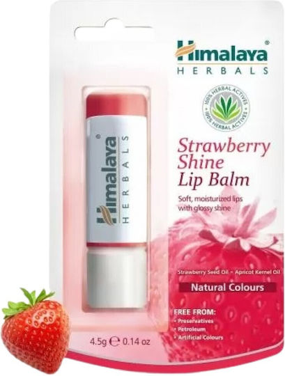 Himalaya Wellness Lip Balm Φράουλα 4.5gr