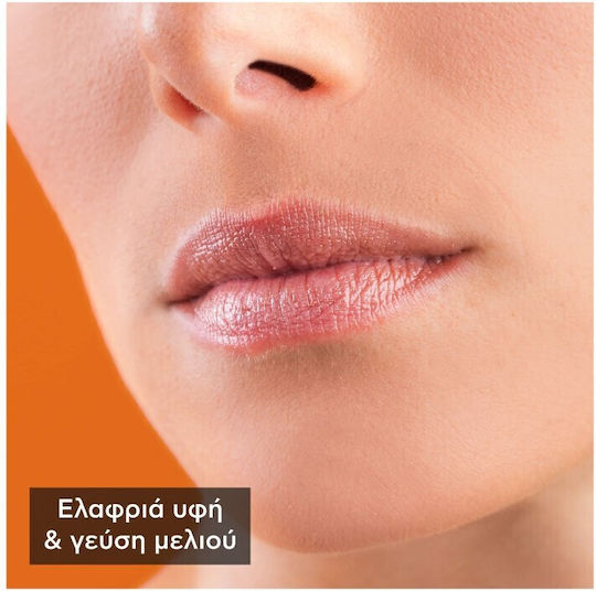 Apivita Lip Balm Honey 4.4gr