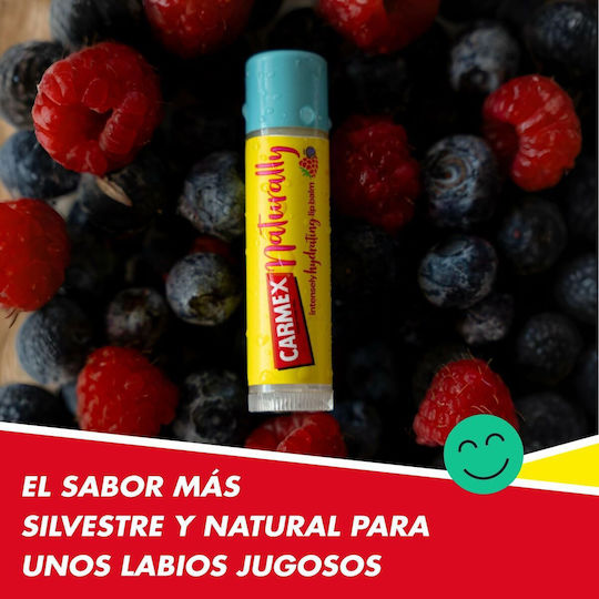 Carmex Naturally Lip Balm Red Fruits