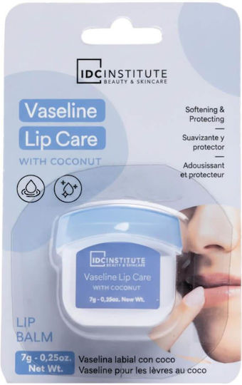 IDC Institute Lip Balm Coconut 8.2gr