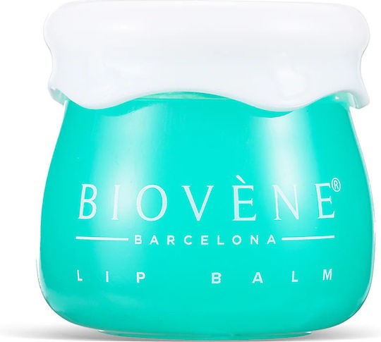 Biovene Lippenbutter Avocado 8g