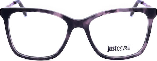 Just Cavalli Plastic Eyeglass Frame Purple JC007 09SJ