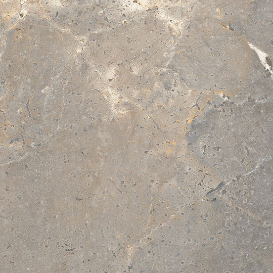 Lea Πλακάκι Δαπέδου Εσωτερικού Χώρου Ματ 120x60cm Earth