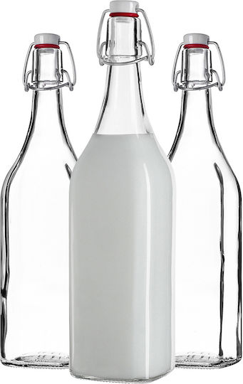 Kadax Glas Wasserflasche mit Clip Transparent 1000ml 3 Stücke