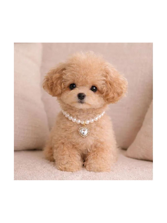 Colier Pentru Animale De Companie Perle Și Lanț Auriu Charm Inimă Stras 30cm