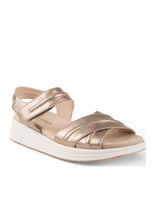 Air Anesis